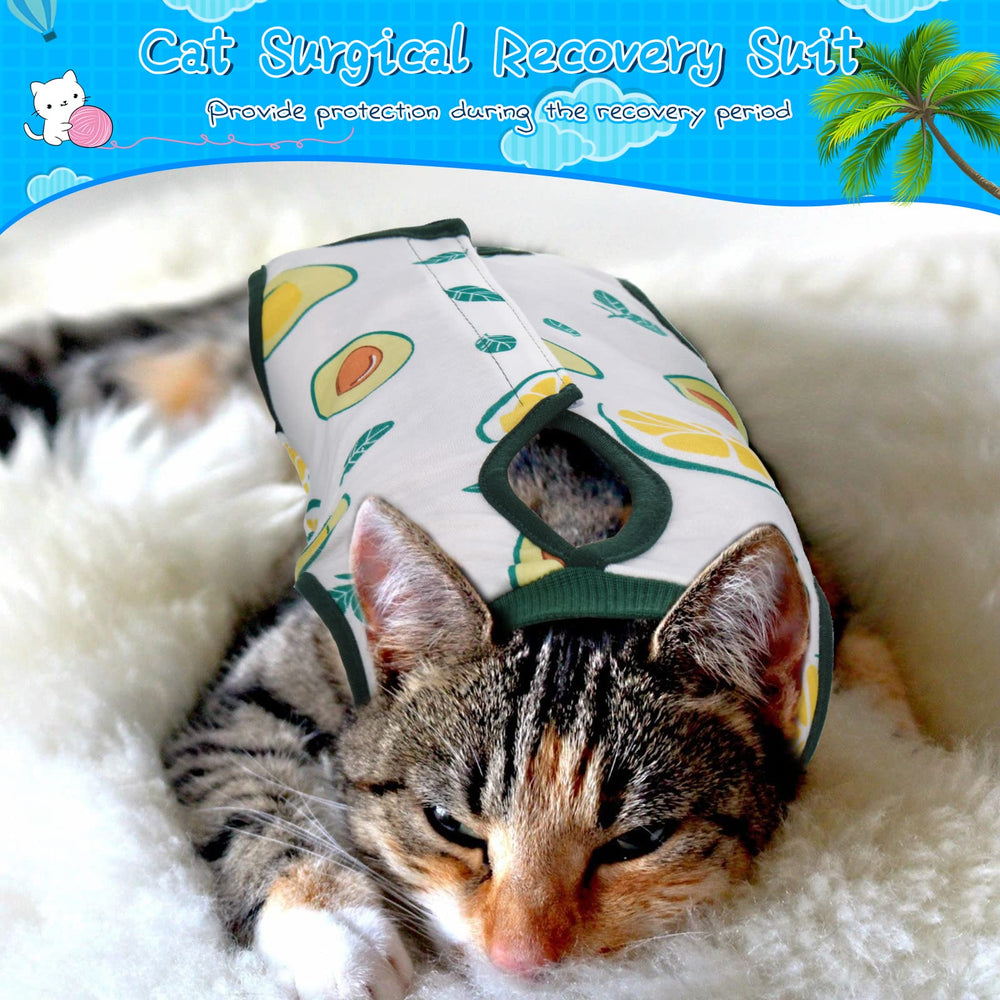 Uso diario del conjunto Nuanchu, traje de recuperación para gato, colores brillantes