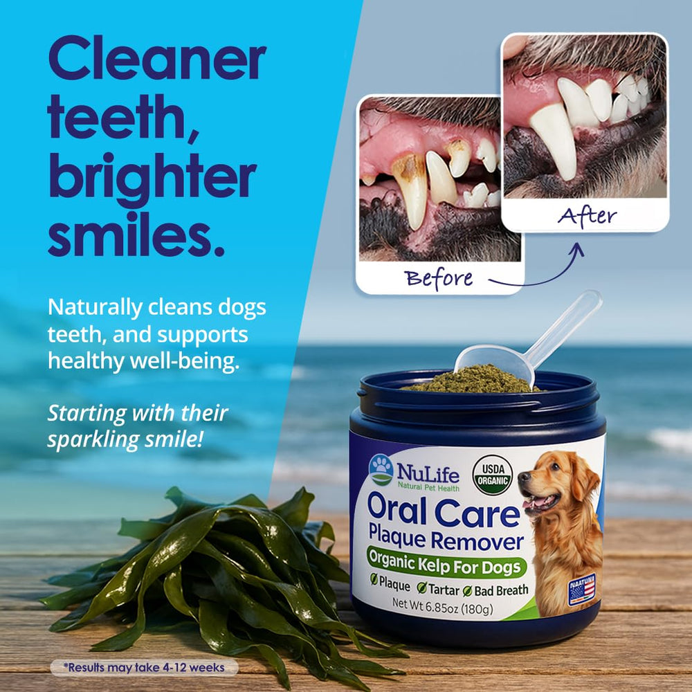 Cuidado dental para todas las razas, uso diario con NuLife
