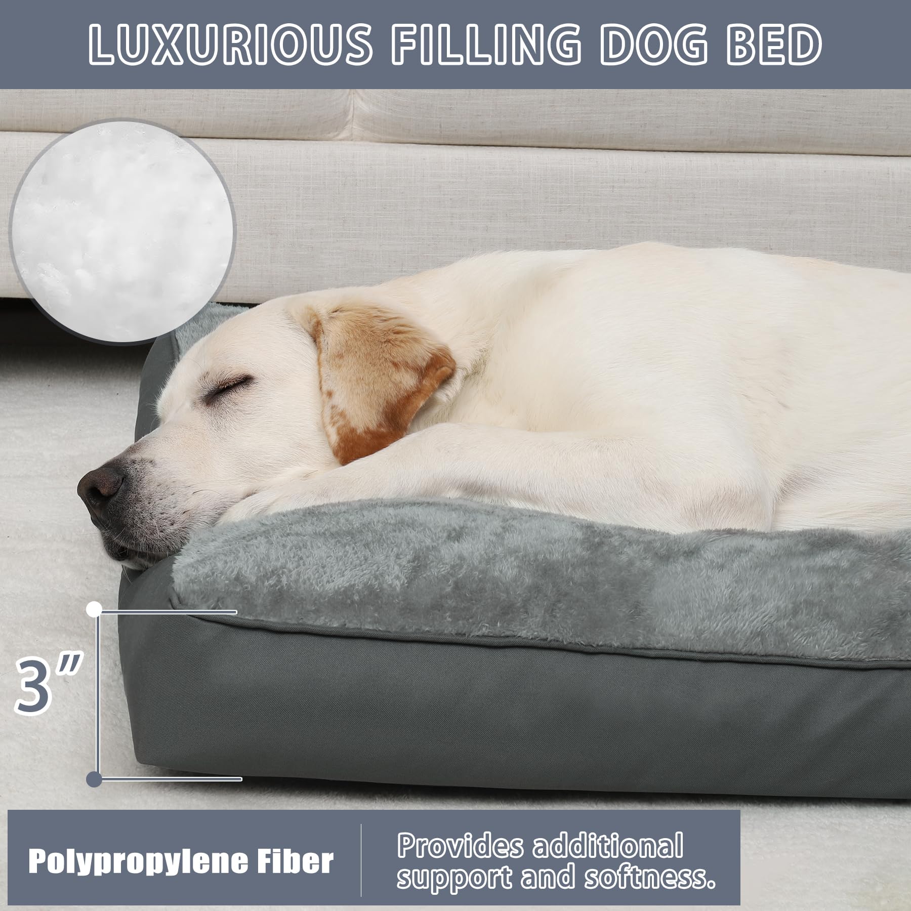 NUPIDA cama caja perro; relleno de 3 pulgadas ofrece soporte estable.