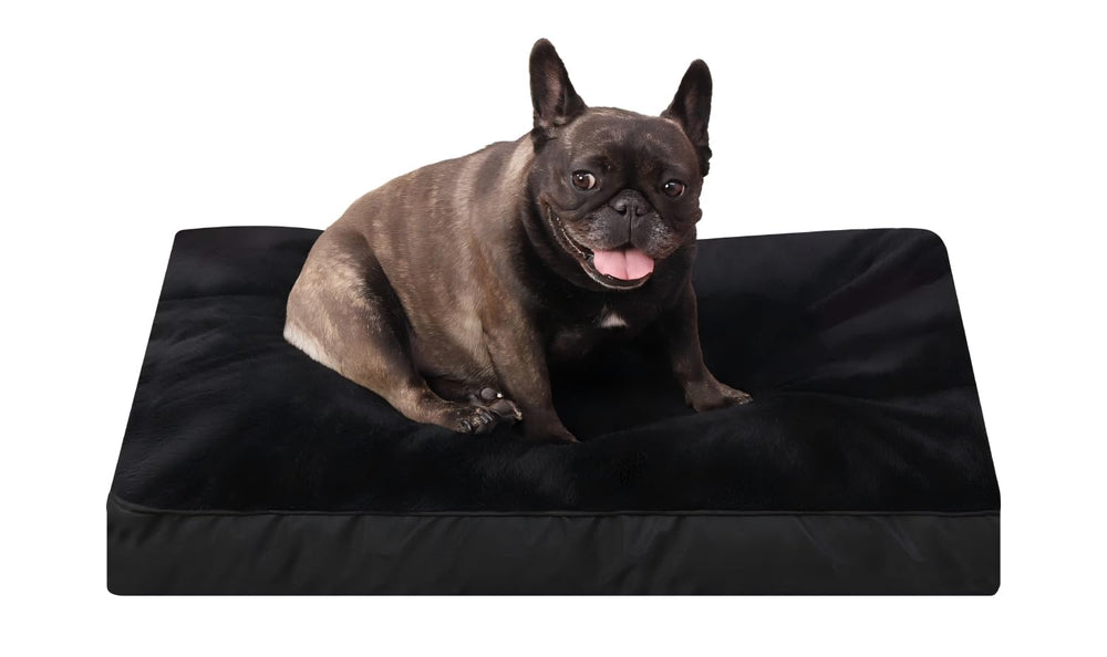 Cama NUPIDA para jaula con superficie de terciopelo suave para mayor confort.