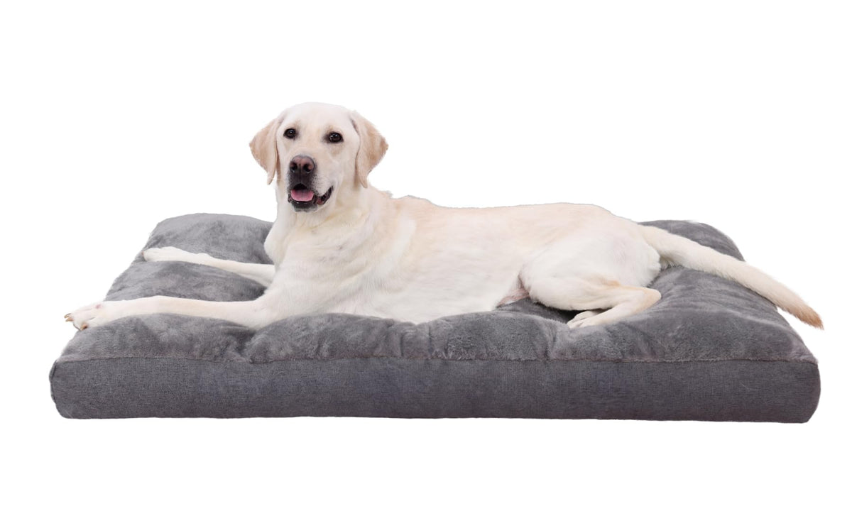 Cama NUPIDA para jaula XL, vista frontal, descanso cómodo para tu perro.