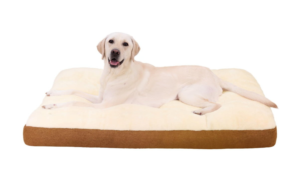 Cama NUPIDA para perro XL con acolchado suave, ideal para siestas largas.