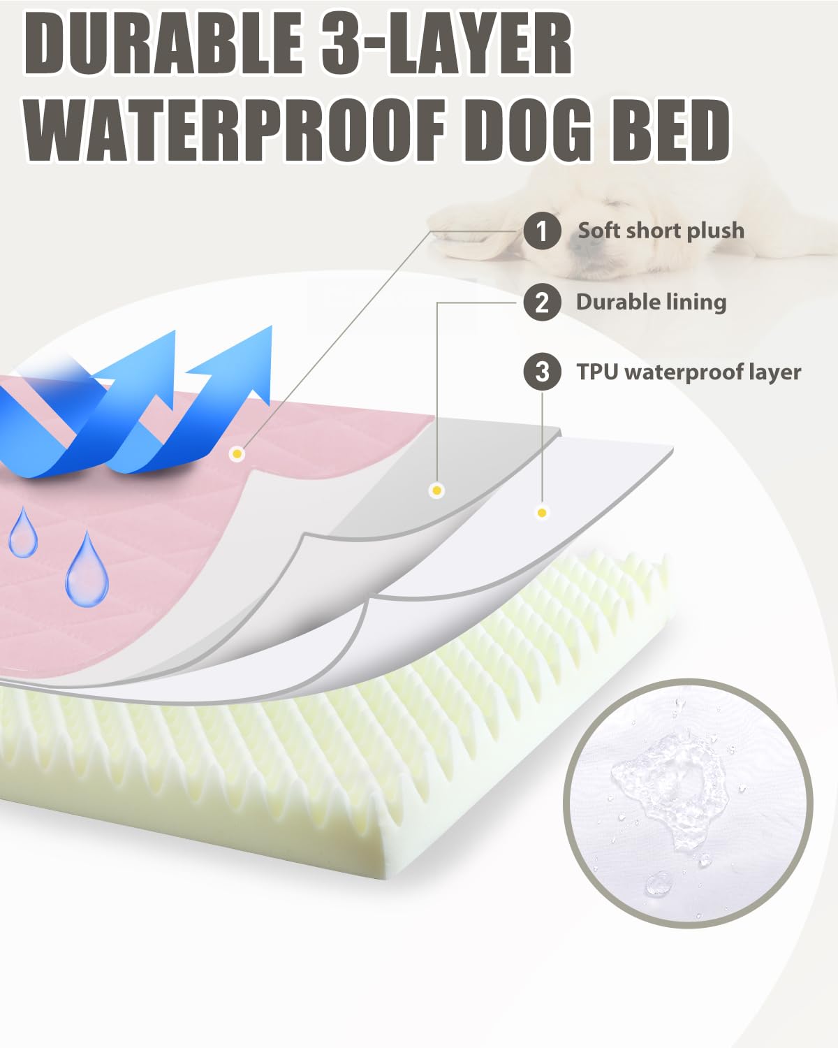 NUPIDA Cama para perros XL con base antideslizante estable.