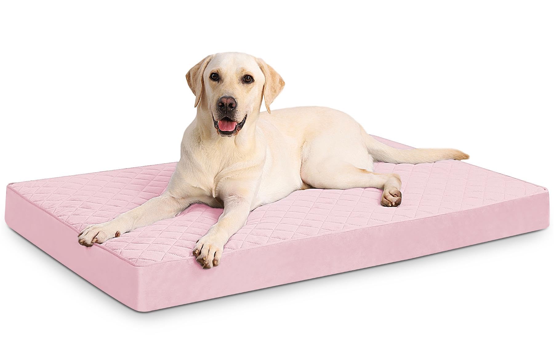 NUPIDA Cama ortopédica XL para perros con funda impermeable, ideal para uso diario.