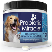 Frasco Nusentia Probioticos para perros y gatos con alta concentración para equilibrio intestinal