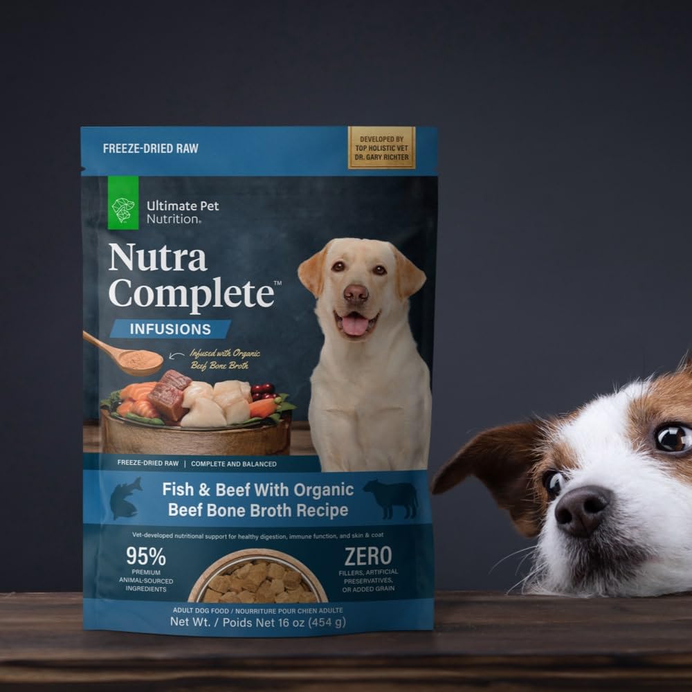 Nutra Complete Infusions: mezcla de sabor que anima a los perros a comer con entusiasmo.