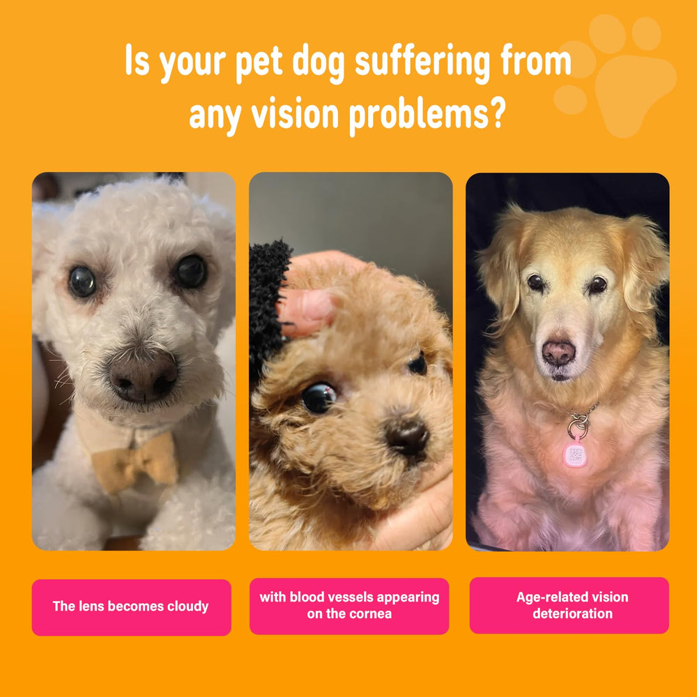 Nutridog: DHA de algas para ojos de perro, apoyo a la retina.