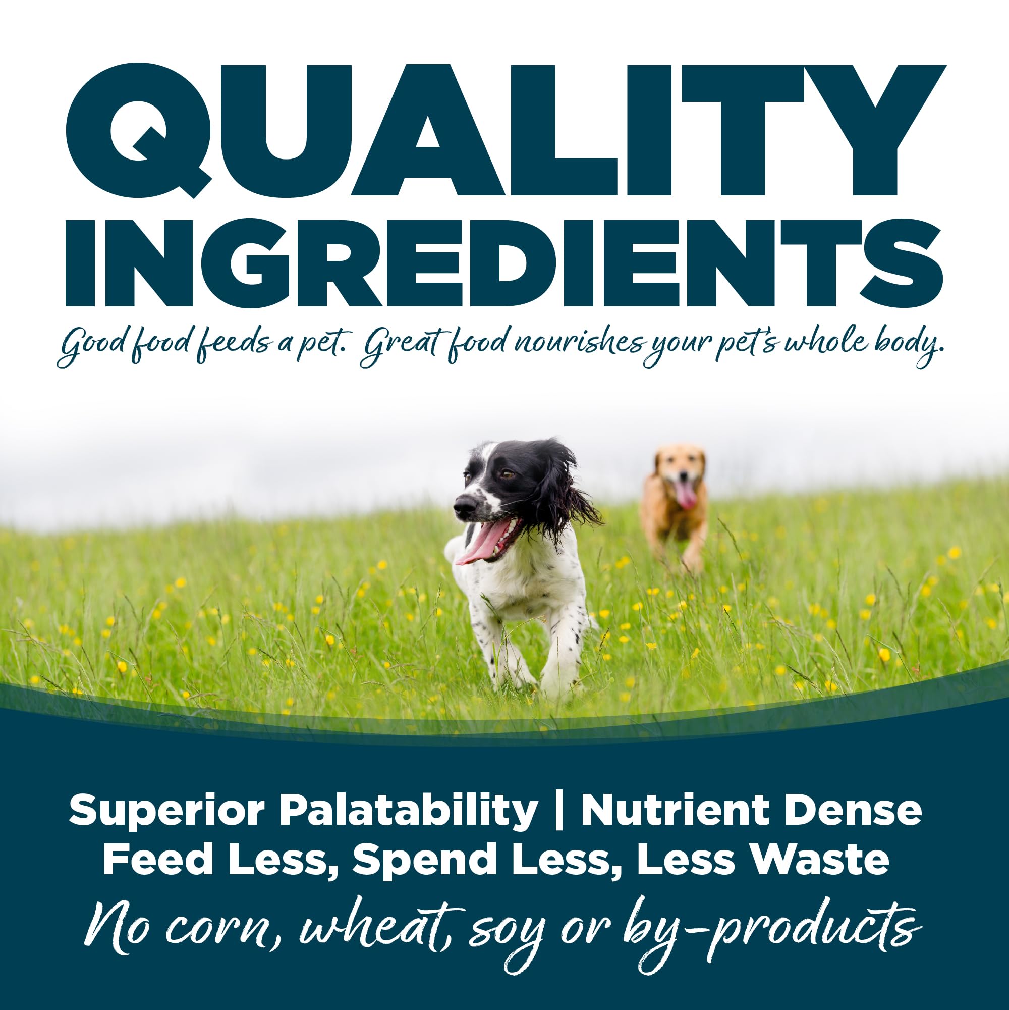 NutriSource alimento para perro con corazón saludable y nutrientes clave.