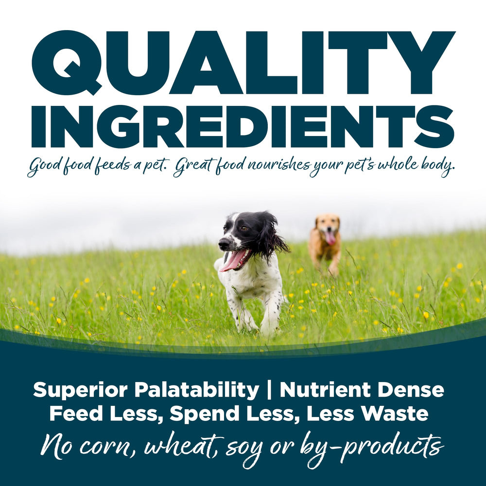 NutriSource alimento para perro con corazón saludable y nutrientes clave.
