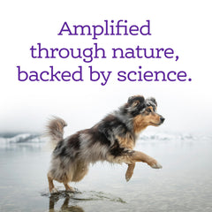 Etiqueta de NutriSource AmpliFull muestra formulación veterinaria para control del estrés