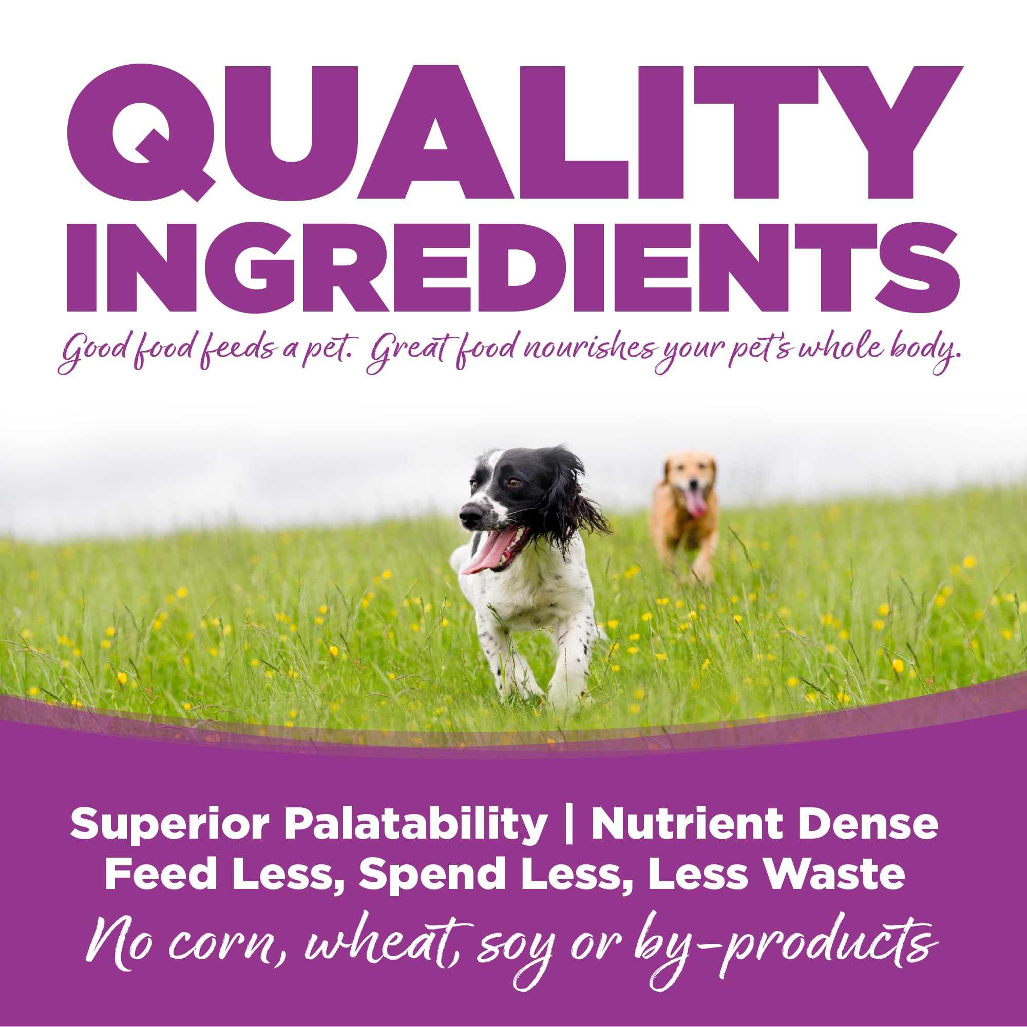 NutriSource croquetas de pollo para cachorros grandes, promueven nutrición equilibrada y sabor.