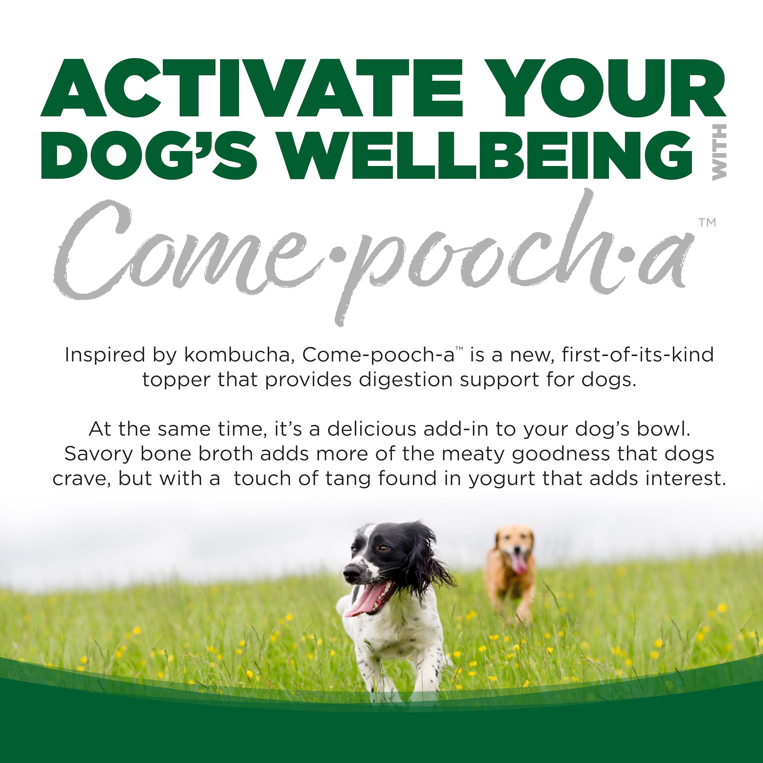 NutriSource Come-Pooch-A: mezcla en agua para hidratación del perro.