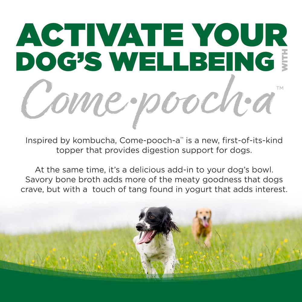 NutriSource Come-Pooch-A: mezcla en agua para hidratación del perro.