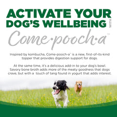 NutriSource Come-Pooch-A: mezcla en agua para hidratación del perro.