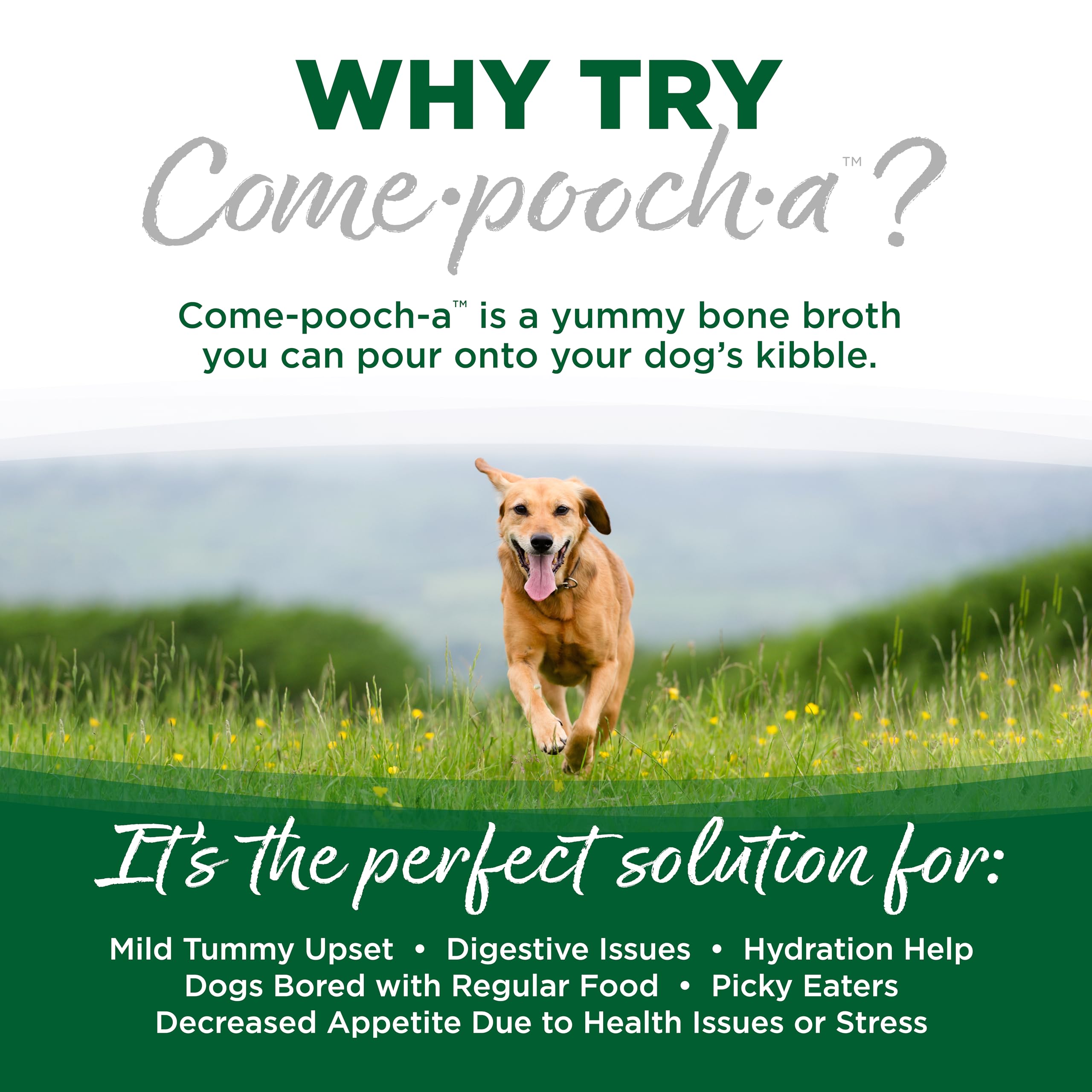 NutriSource Come-Pooch-A: sirve como merienda sabrosa para perros exigentes.