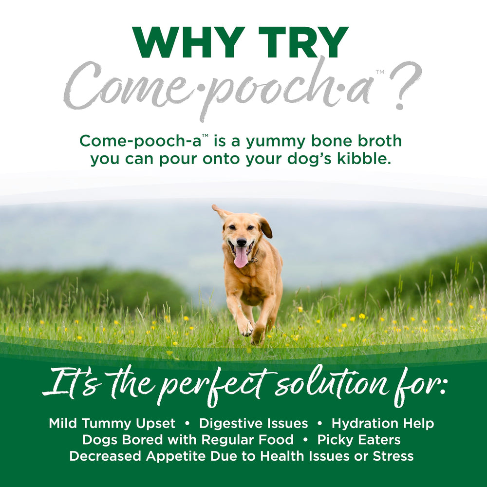 NutriSource Come-Pooch-A: sirve como merienda sabrosa para perros exigentes.
