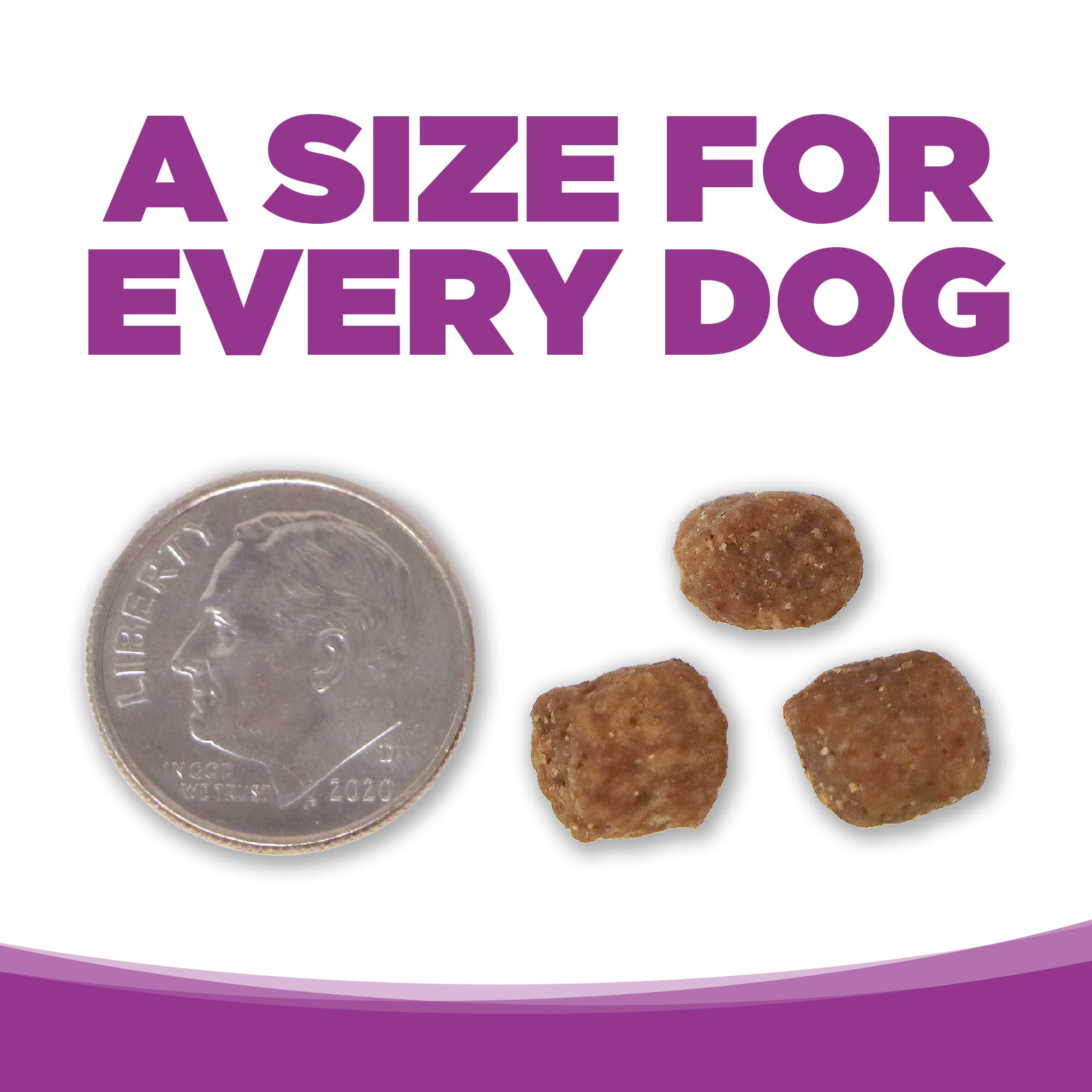 NutriSource prebióticos y probióticos para apoyo digestivo en perros grandes