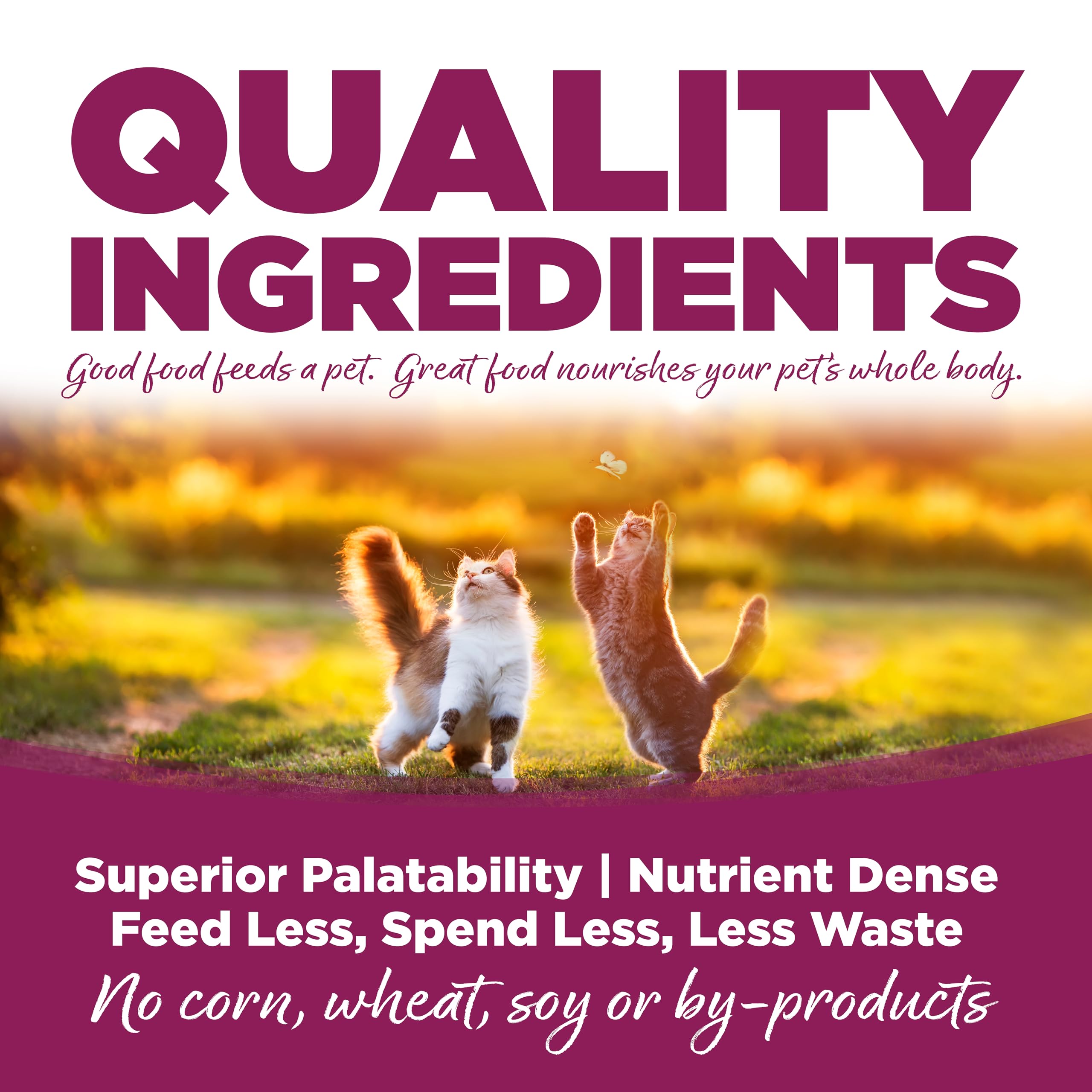 NutriSource prebióticos y probióticos para salud intestinal