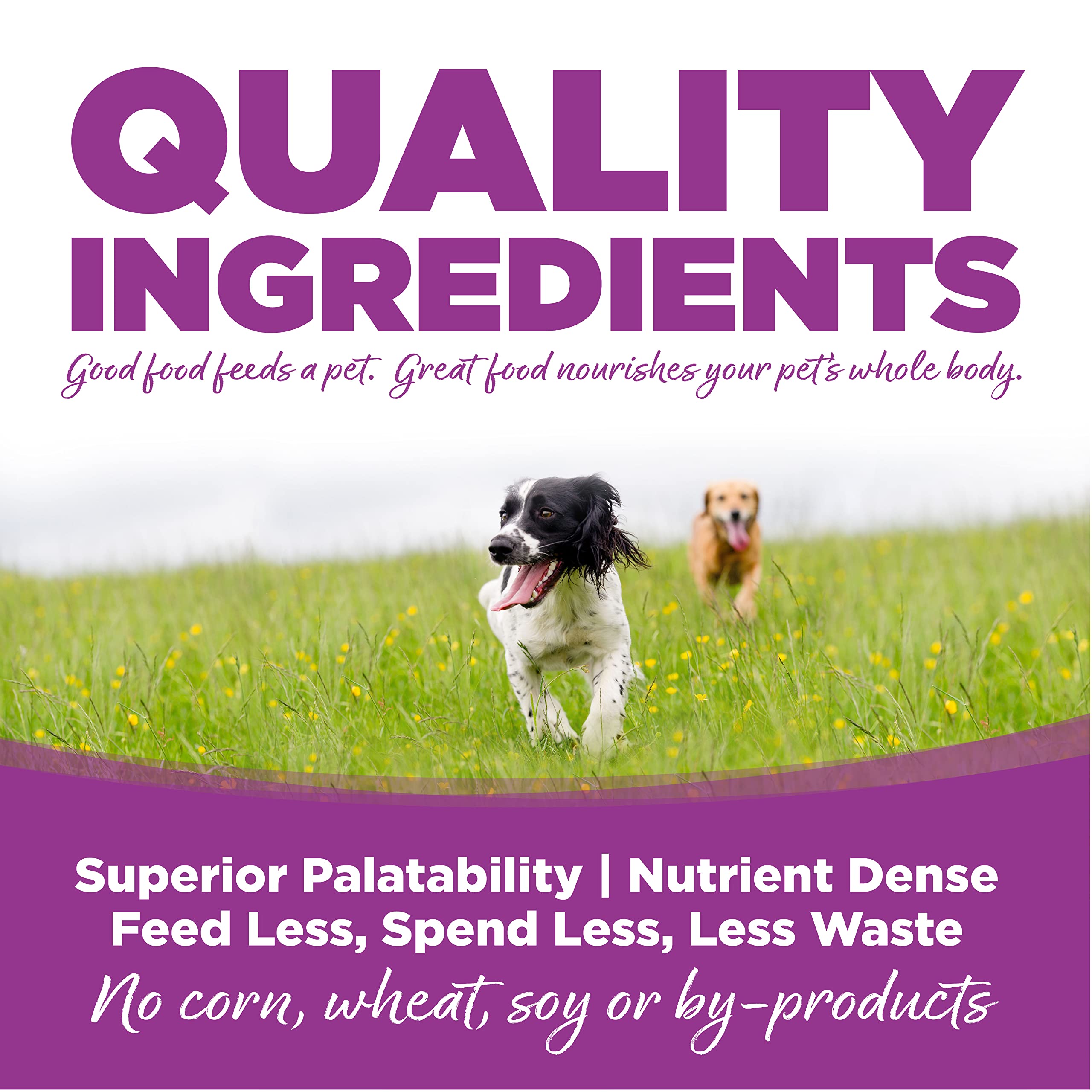 Proteína de pollo de alta calidad, base de la fórmula NutriSource