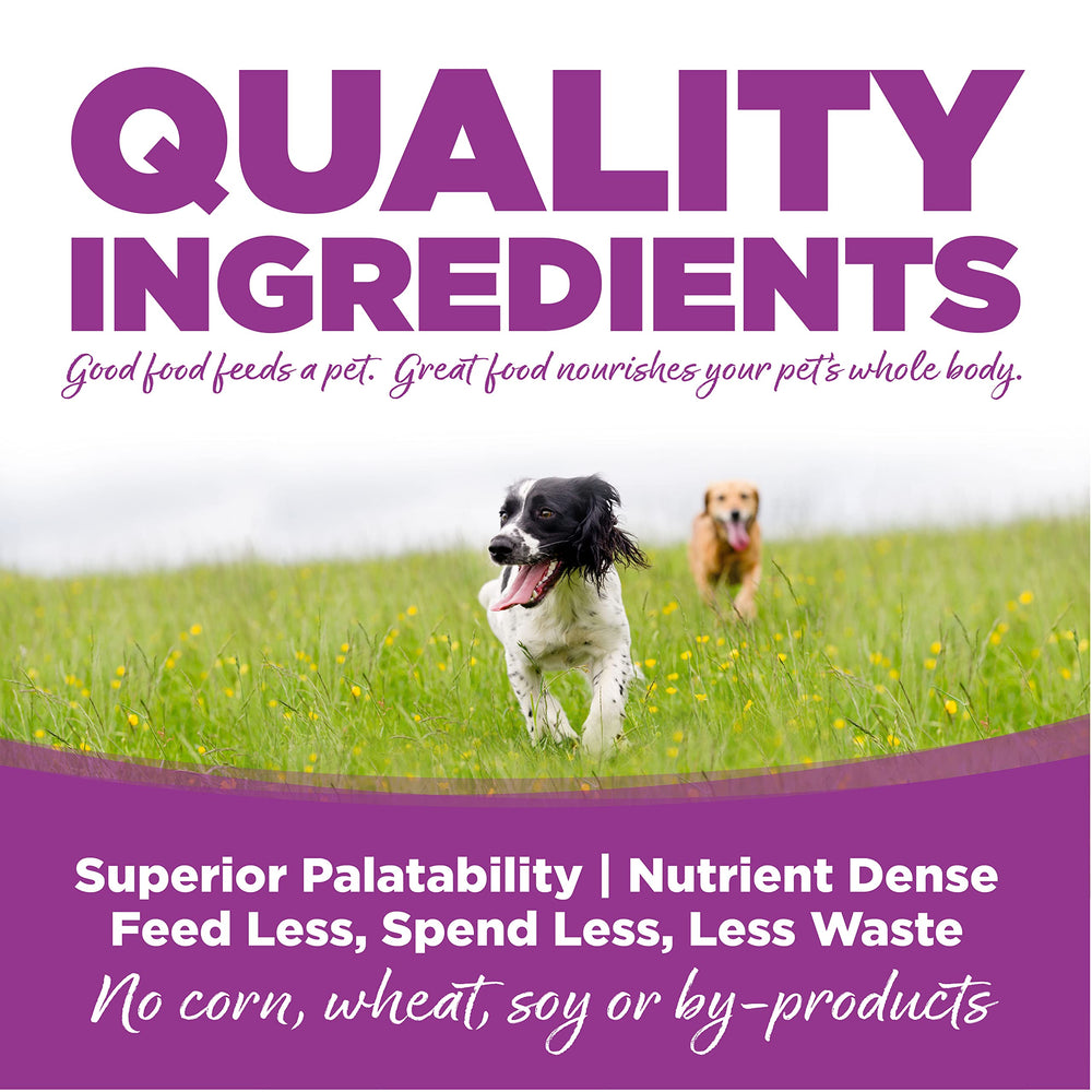 Proteína de pollo de alta calidad, base de la fórmula NutriSource