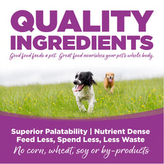 Proteína de pollo de alta calidad, base de la fórmula NutriSource