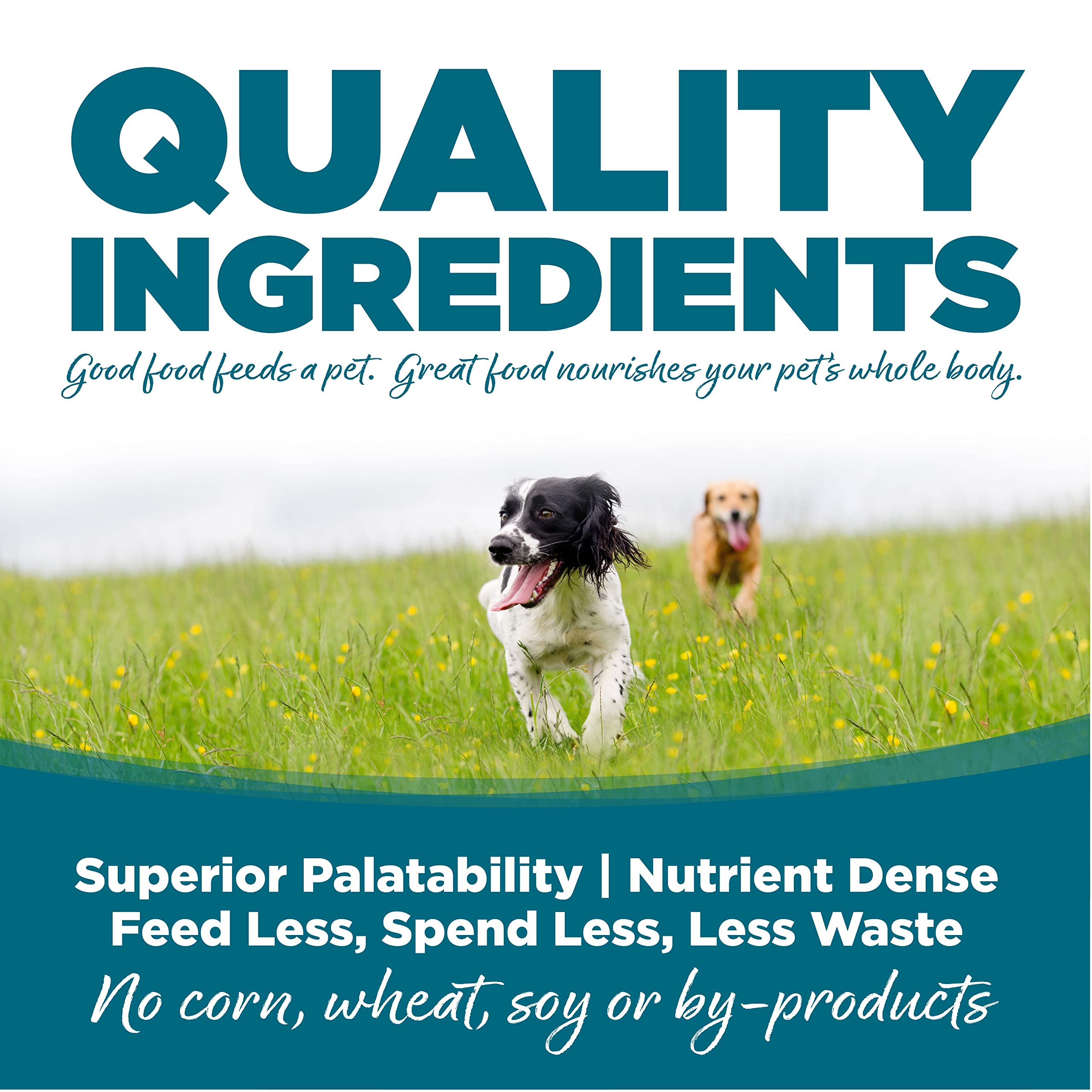 NutriSource perro adulto con pollo y arroz, tazón que destaca croquetas de tamaño uniforme.