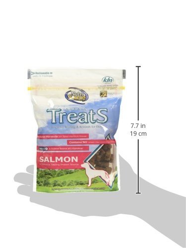 NutriSource salmón, textura tierna para premiar tras paseos.