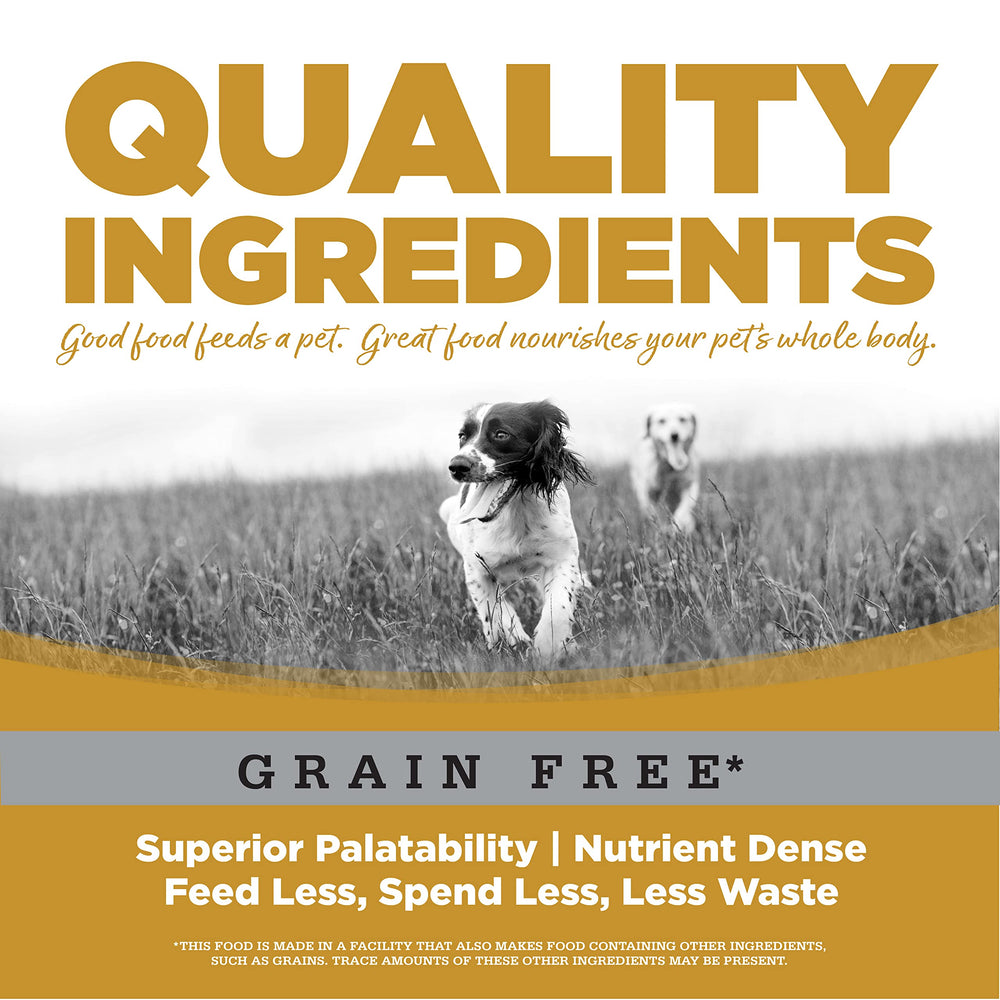Perro disfruta NutriSource sin granos, trozos pequeños durante la comida.