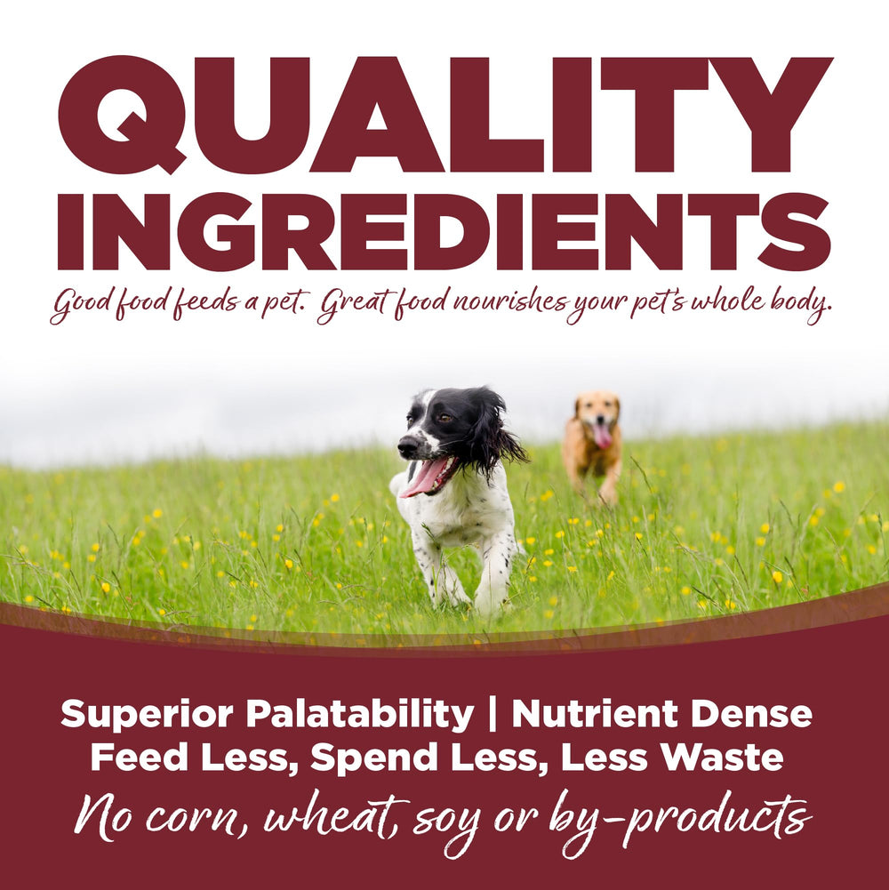Detalle de NutriSource ternera-arroz, prebióticos y probióticos para la salud intestinal.