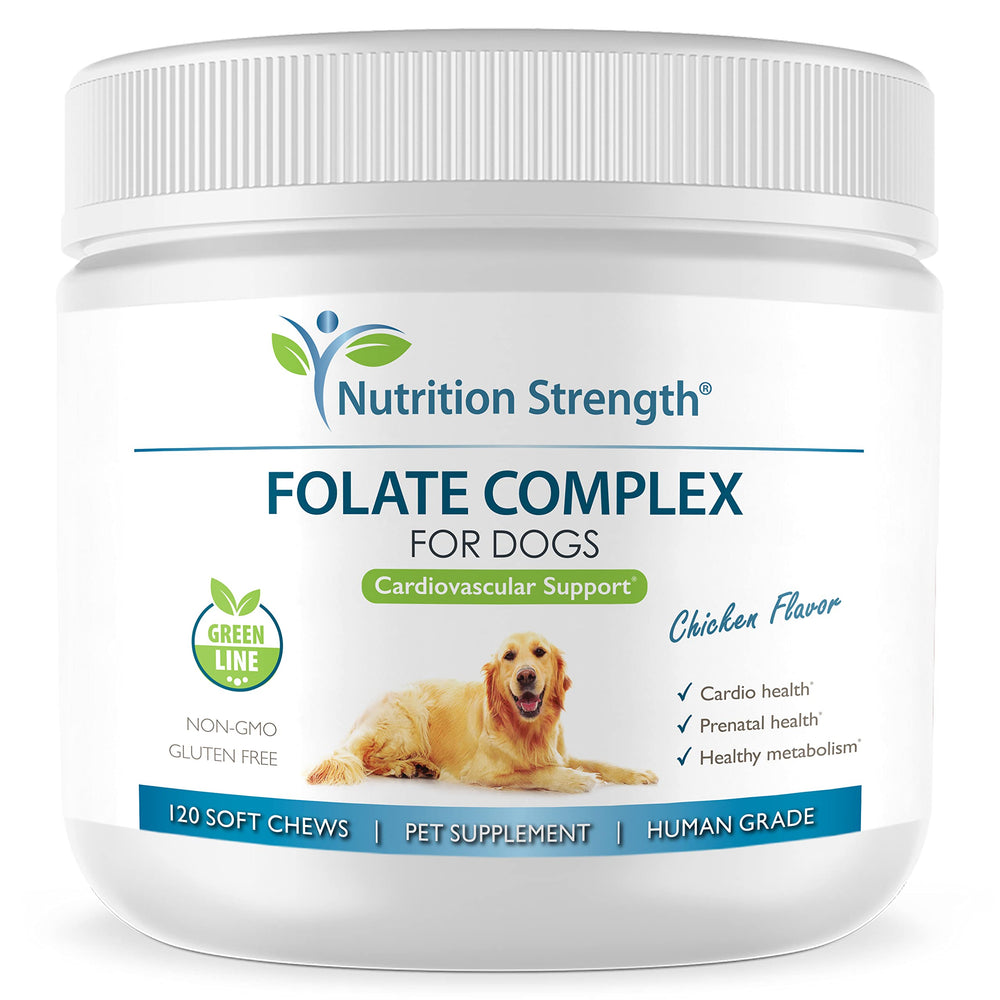 Nutrition Strength Folato para perros: botella vertida para facilitar la dosificación y apoyo cardiovascular.