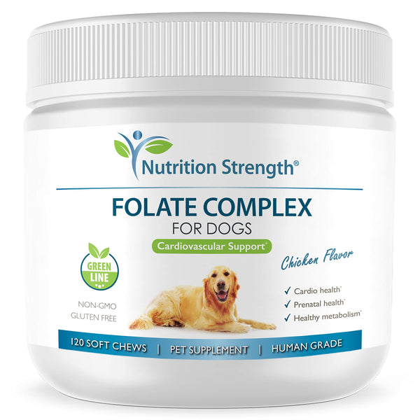 Nutrition Strength Folato para perros: botella vertida para facilitar la dosificación y apoyo cardiovascular.