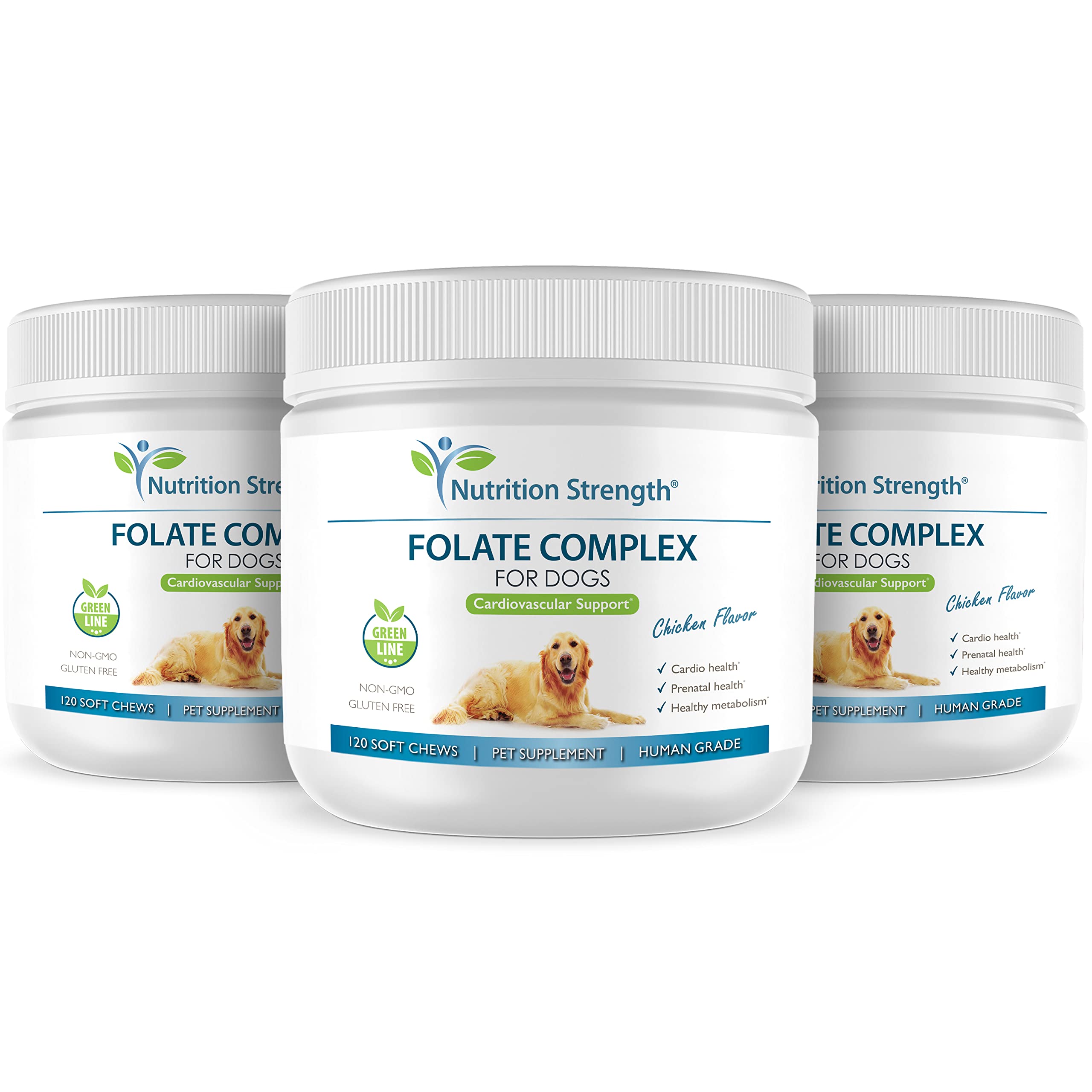 Nutrition Strength Folato para perros: dosis fácil para apoyar el metabolismo de aminoácidos.