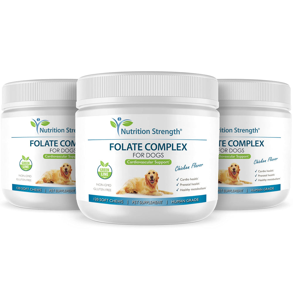 Nutrition Strength Folato para perros: dosis fácil para apoyar el metabolismo de aminoácidos.
