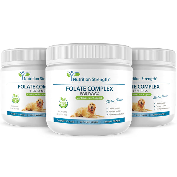 Nutrition Strength Folato para perros: dosis fácil para apoyar el metabolismo de aminoácidos.