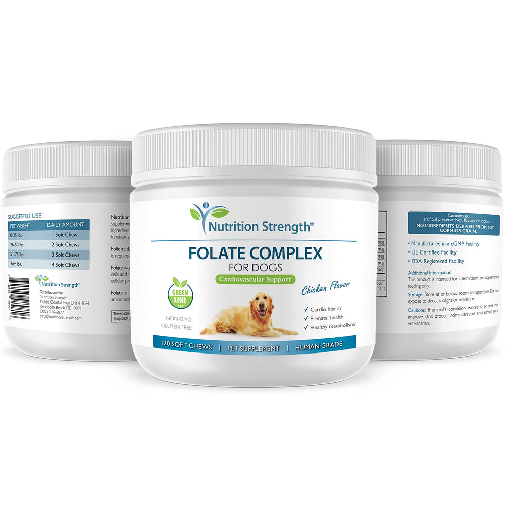 Nutrition Strength Folato para perros: presentación en caja para uso diario seguro.