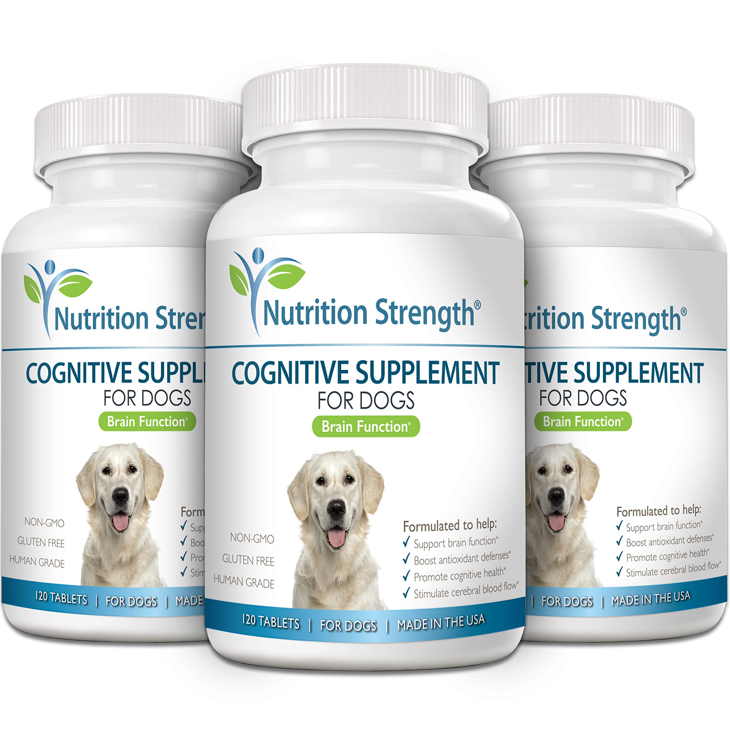 Nutrition Strength mascota en rutina cognitiva diaria, mejora la atención