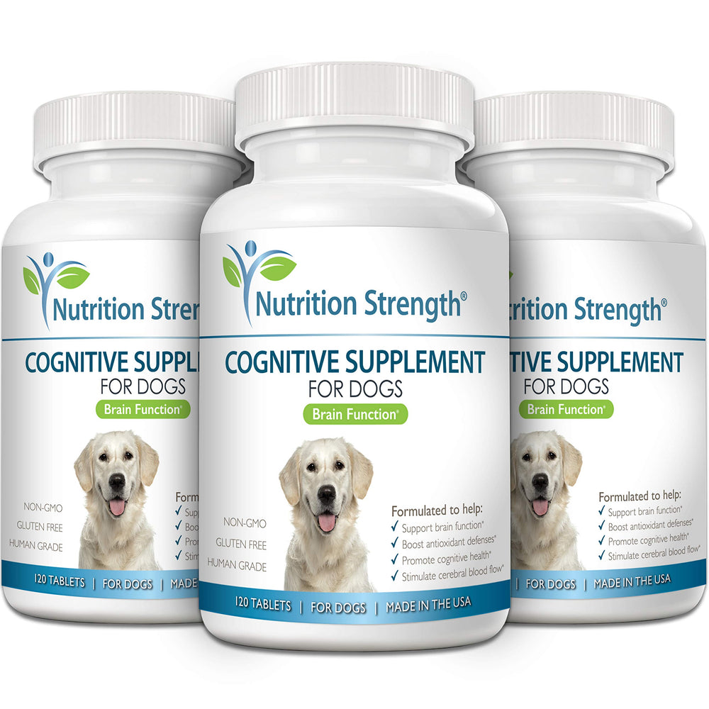 Nutrition Strength mascota en rutina cognitiva diaria, mejora la atención