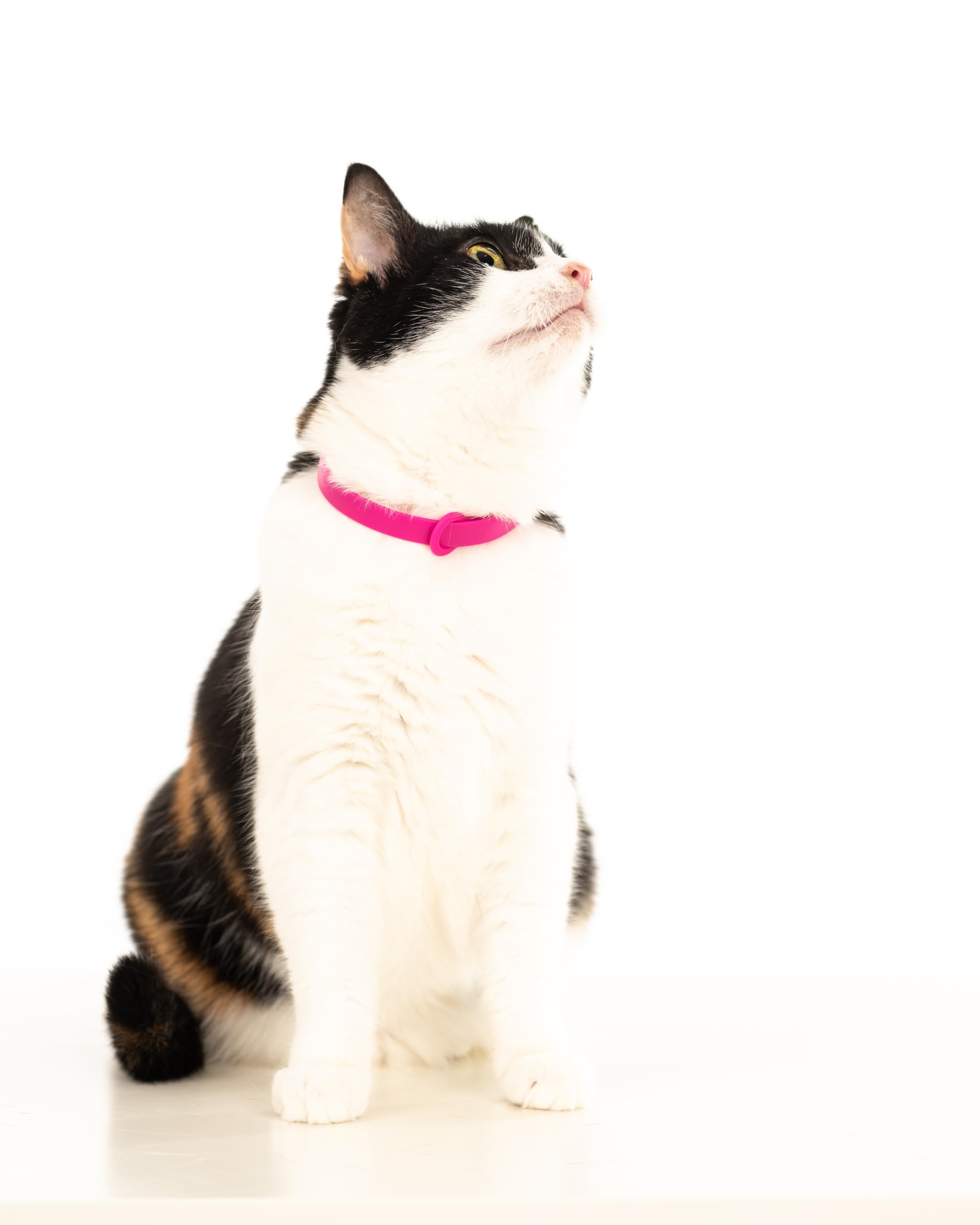 Nuvuq collar desprendible rosa, cierre seguro para paseos tranquilos.