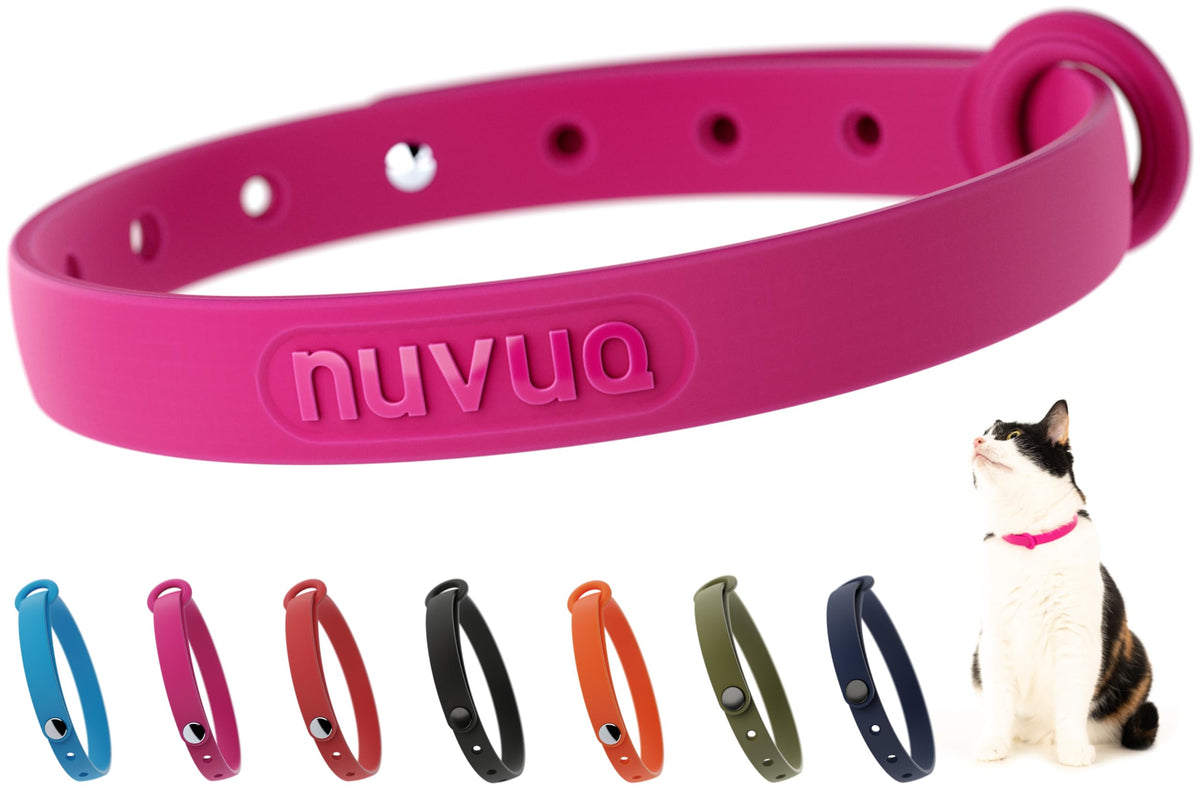 Nuvuq collar desprendible rosa, vista frontal, cómodo para uso diario del gato.