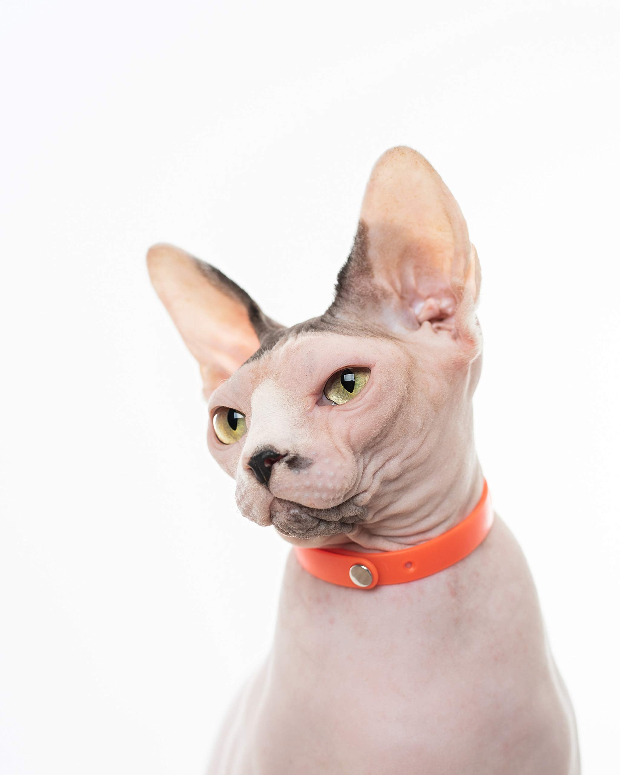 Ajuste de tamaño en collar Nuvuq naranja