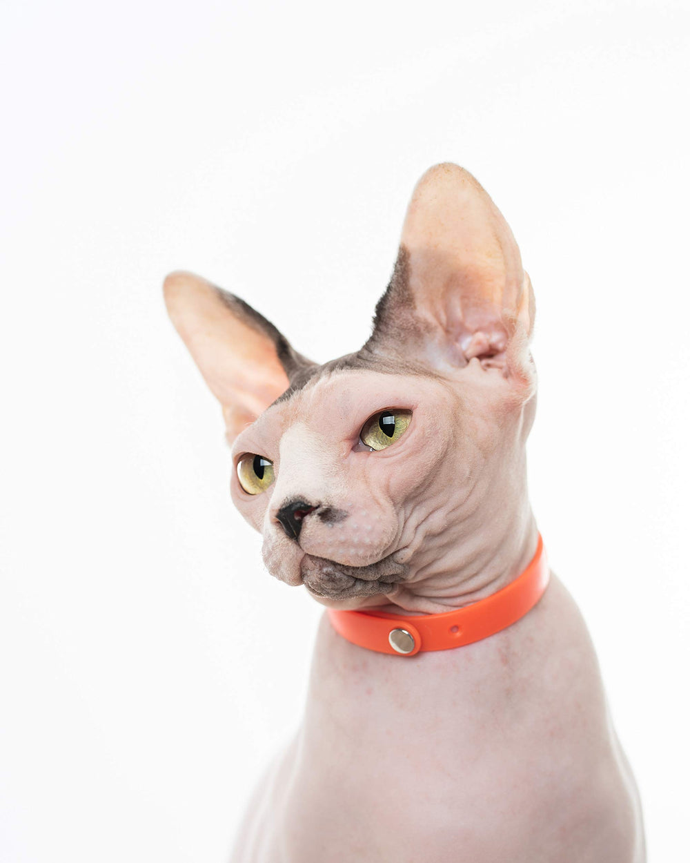 Ajuste de tamaño en collar Nuvuq naranja