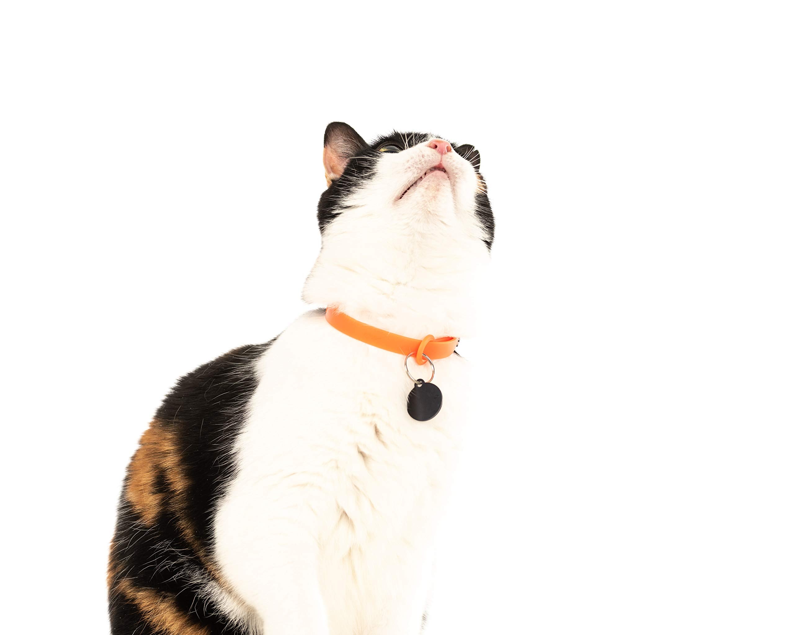 Borde duradero del collar Nuvuq naranja