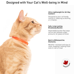Uso al aire libre del collar Nuvuq naranja para gatos activos