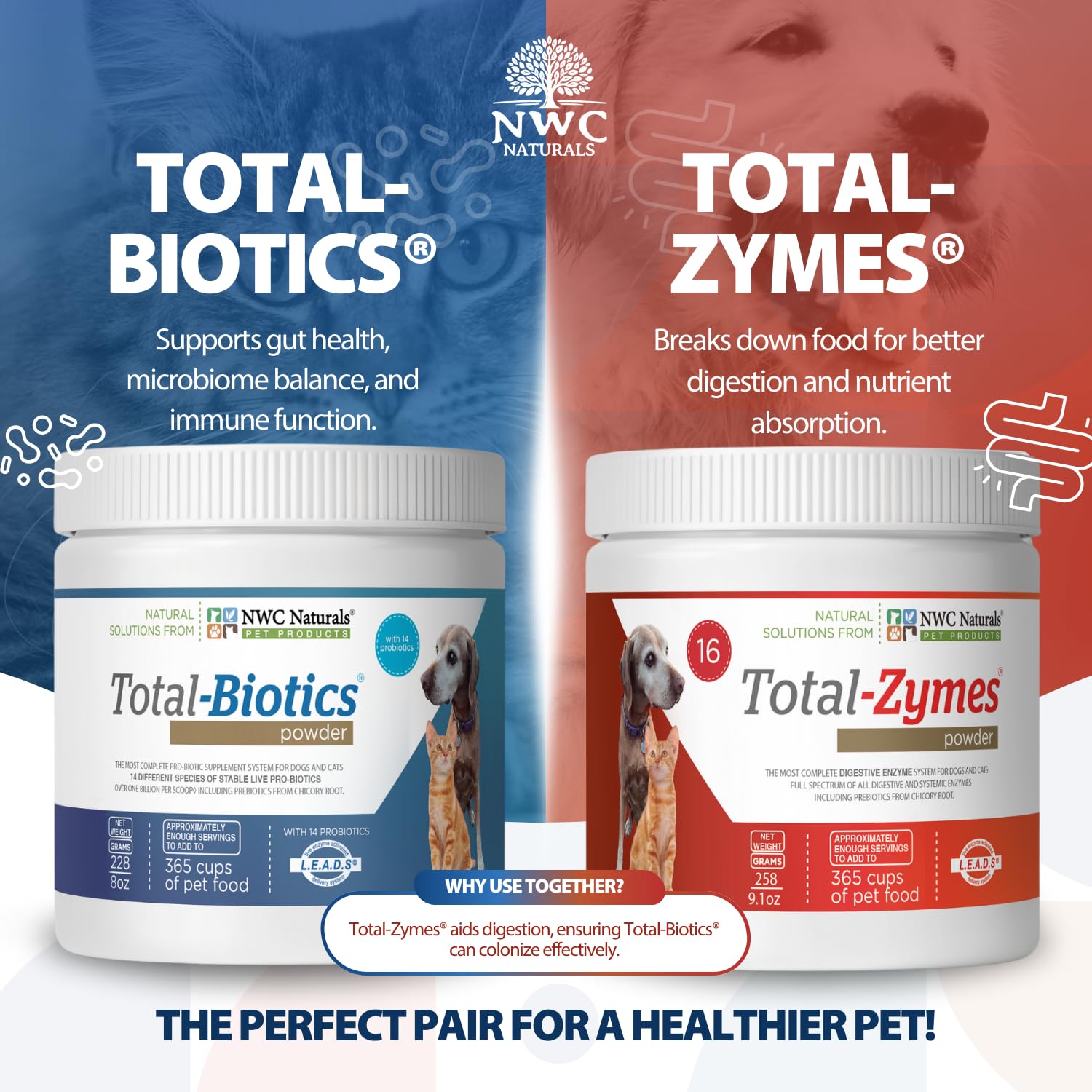 NWC Naturals Total-Zymes: enzimas digestivas para descomponer nutrientes.