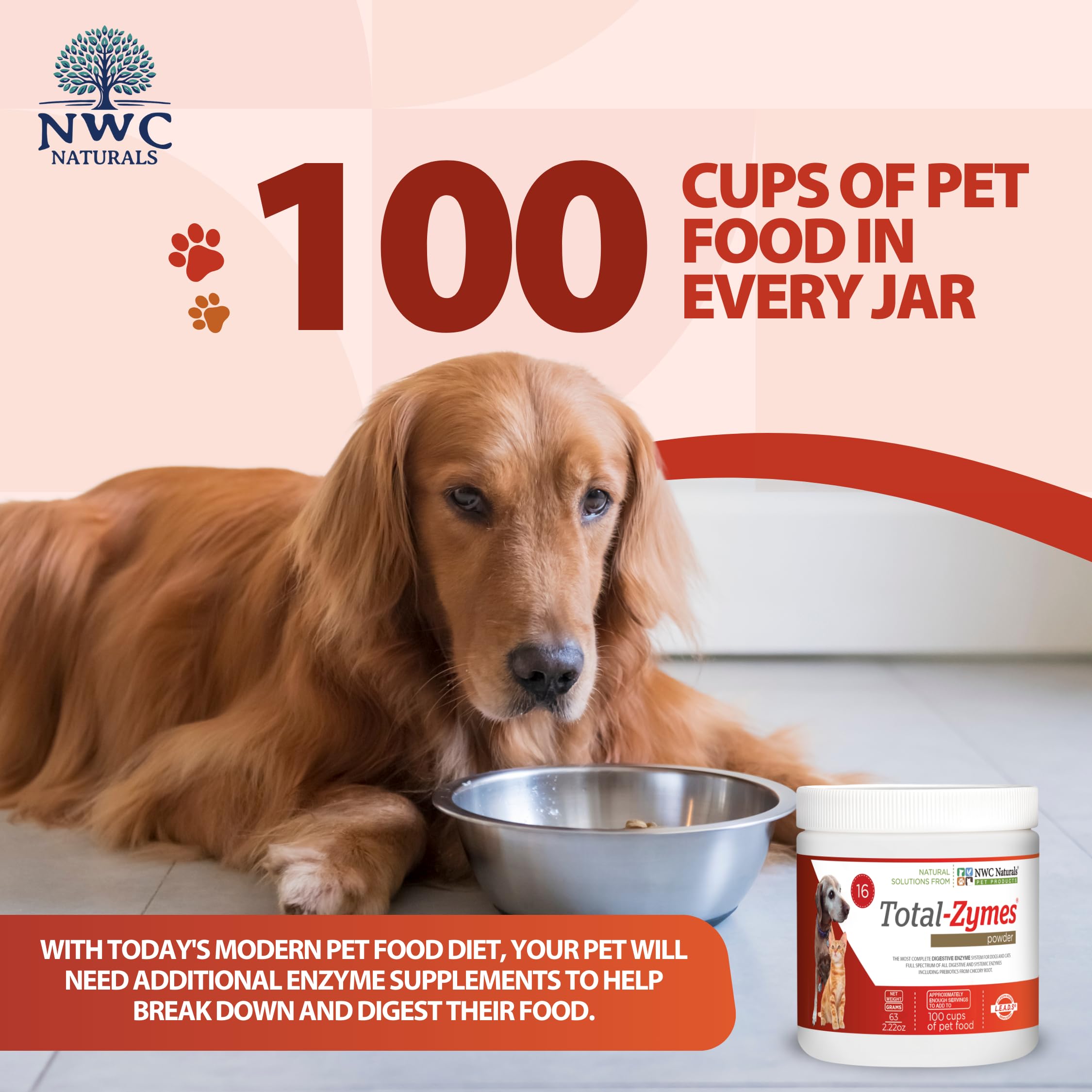 Gato o perro con plato de comida usando Total-Zymes para apoyar la digestión.