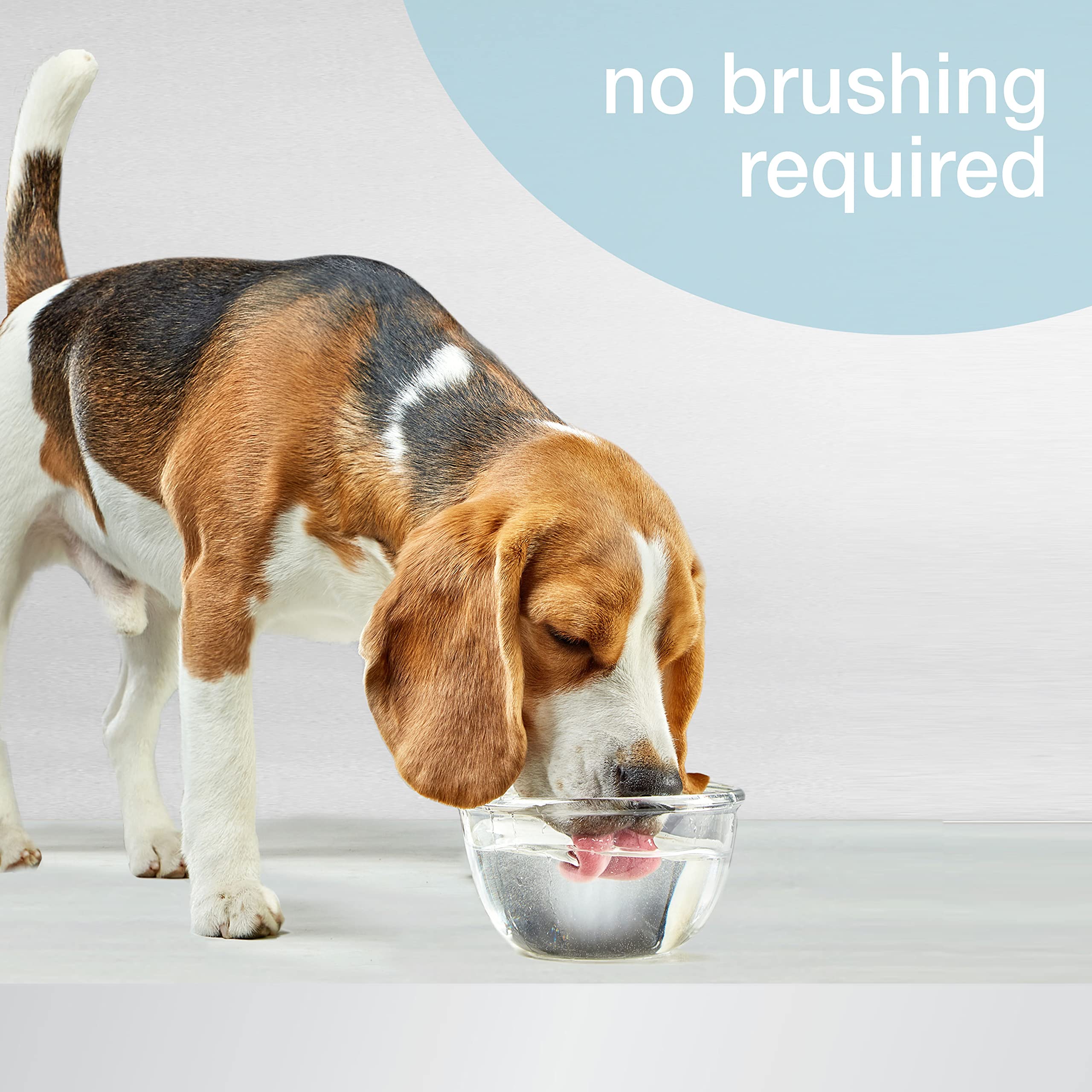 Botella NylaBone Advanced Oral Care para uso diario en perros.