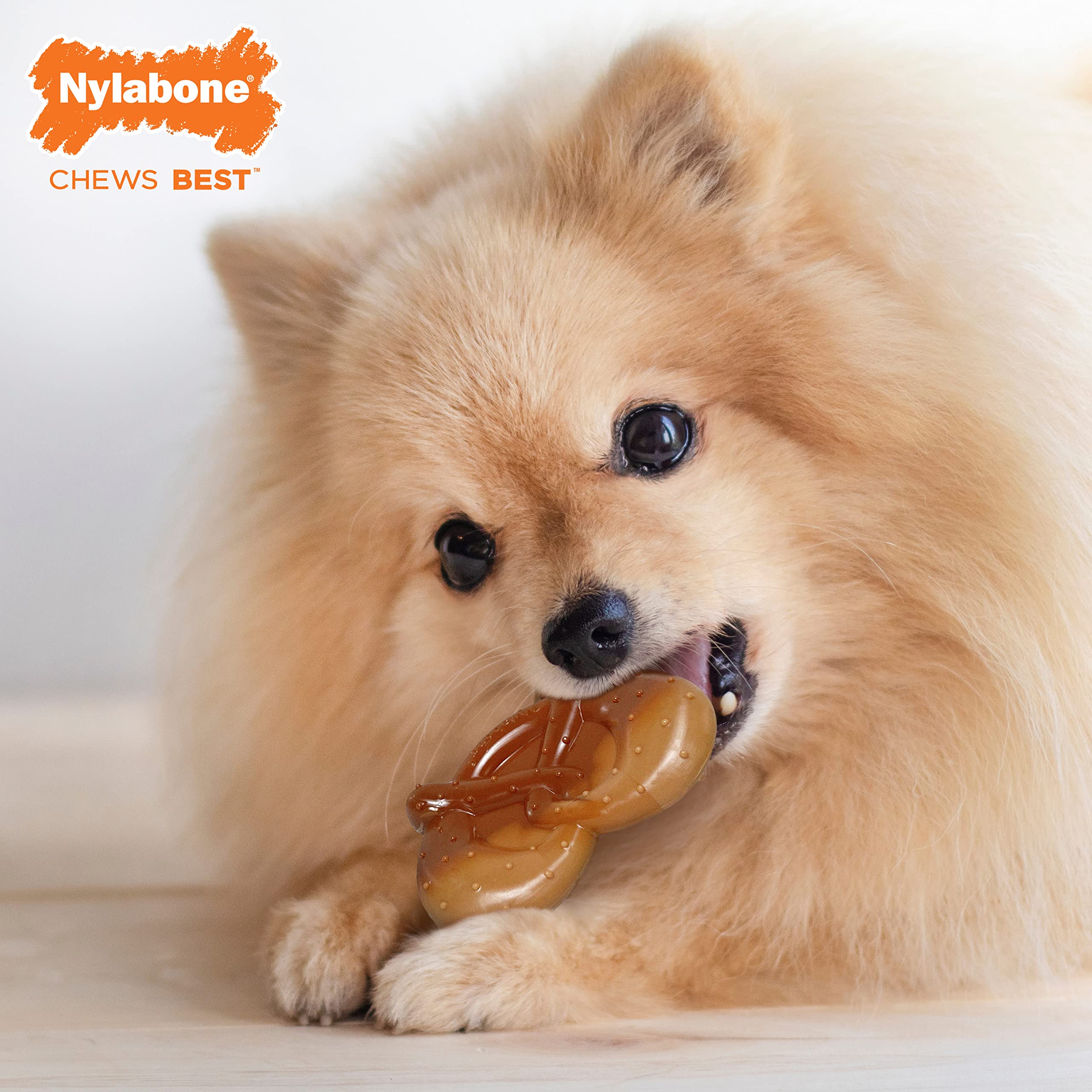 Nylabone Pretzel Power Chew, arco ergonómico, agarre cómodo para perros pequeños.