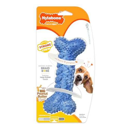Nylabone Braid Bone salud dental durante la masticación