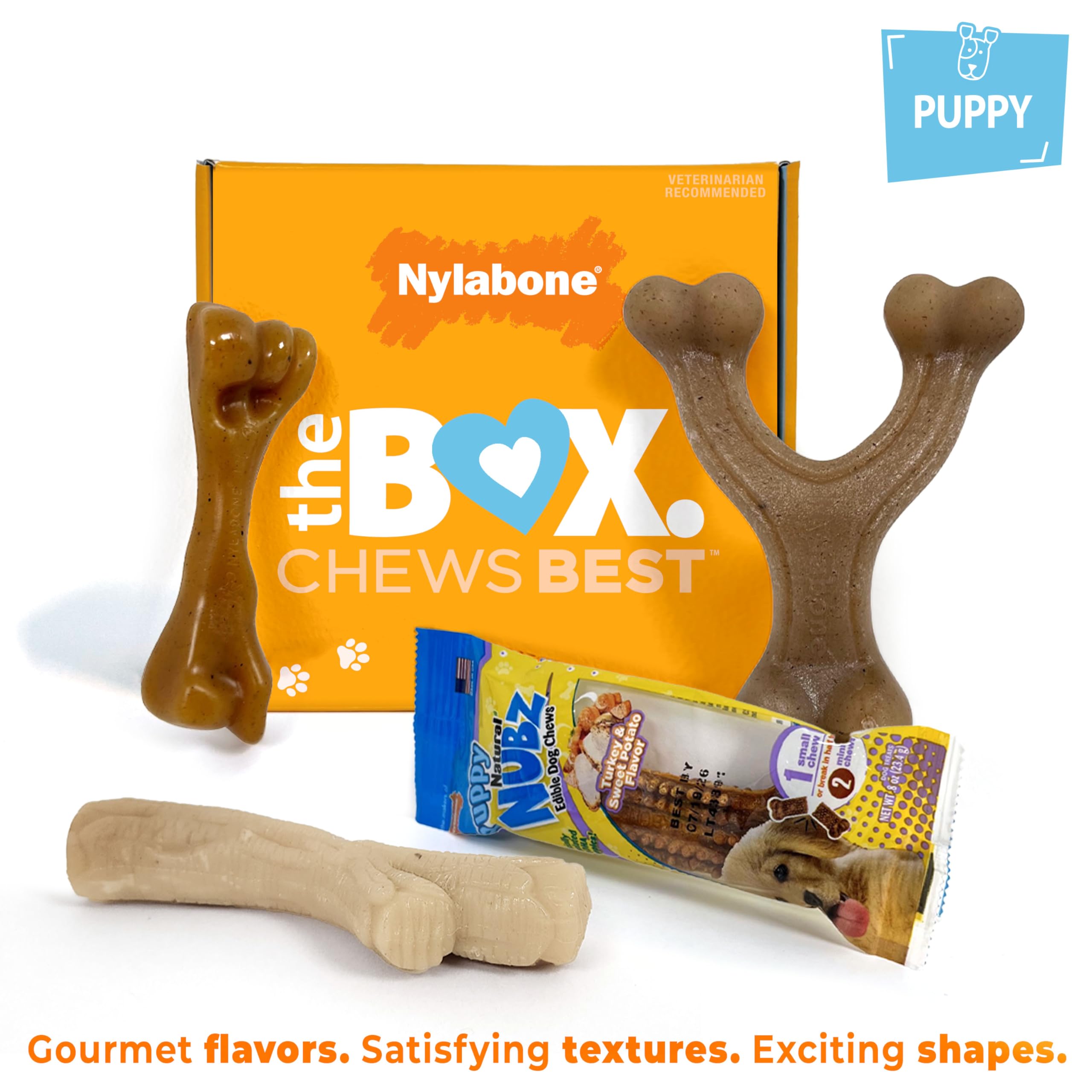 nylabone juguete en forma de hueso auténtico para cachorros.