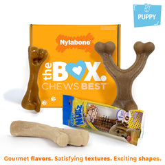 nylabone juguete en forma de hueso auténtico para cachorros.